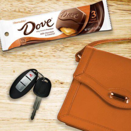 Dove Large Promises Milk Chocolate & Caramel Candy Bar 2.75oz (78g)